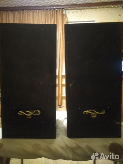 Акустические колонки Вега 25ас-109-2