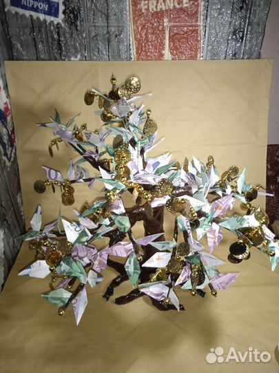 Денежное дерево