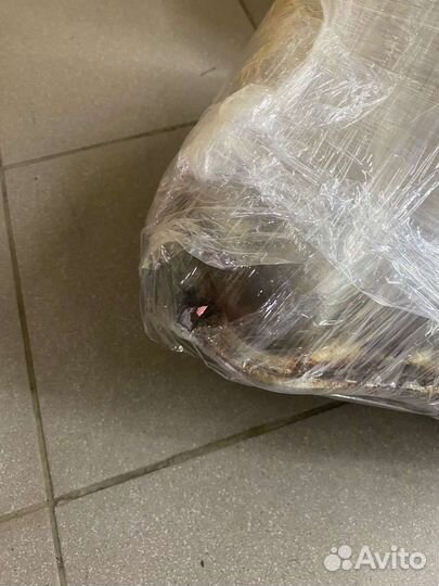 Банка глушителя