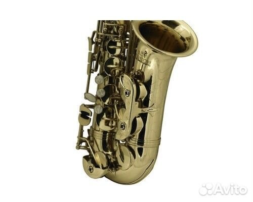 Roy Benson AS-201, Eb альт-саксофон (детский)