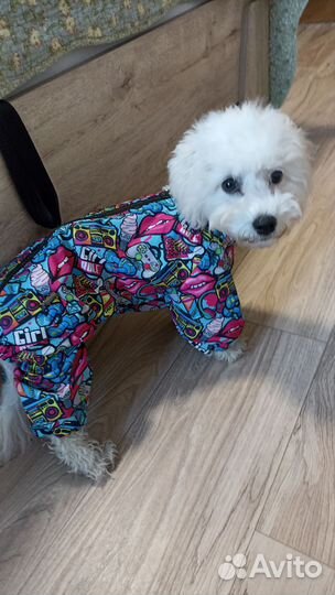 Комбинезон дождевик для собаки