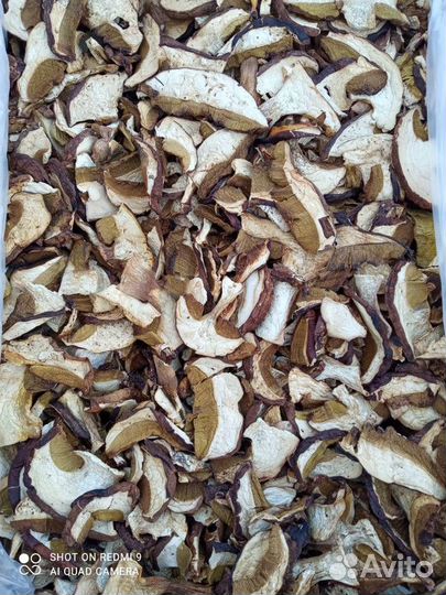 Белый сушеный гриб оптом