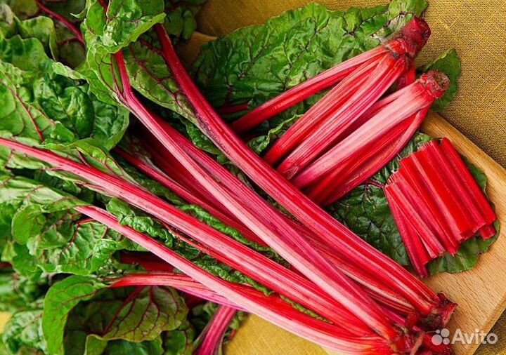 Мангольд листовой семена