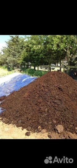 Перегной конский коровяк росыпью