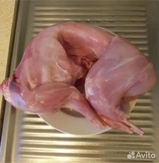 Мясо кролика