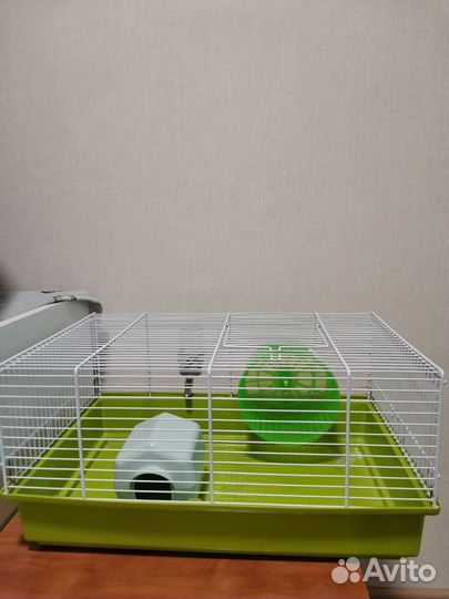 Клетка для хомяка +корм