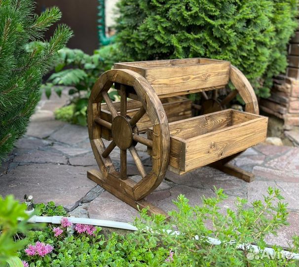 Цветочница уличная