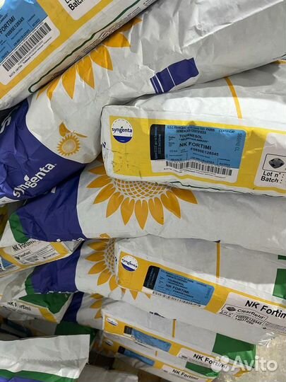 Фортими кл гибрид подсолнечника