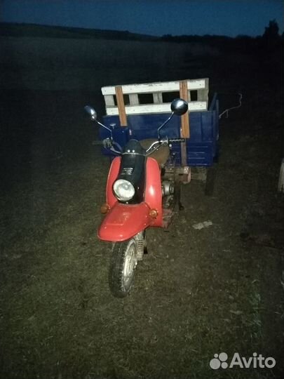 Моторолер муровей