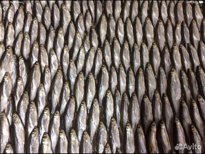 Уклейка вяленая бронь, лещ в наличии