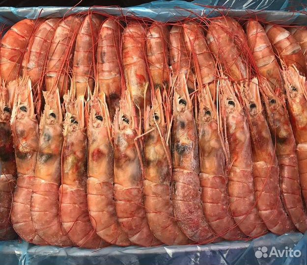 Лангустины L2