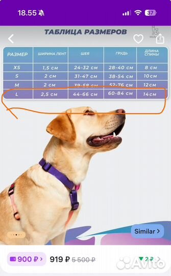 Шлейка для средней собаки