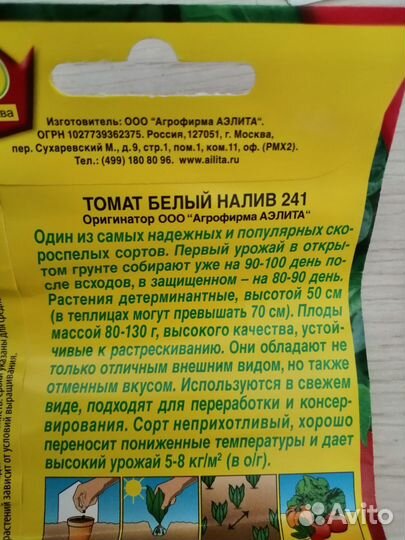 Рассада перцев, помидоров