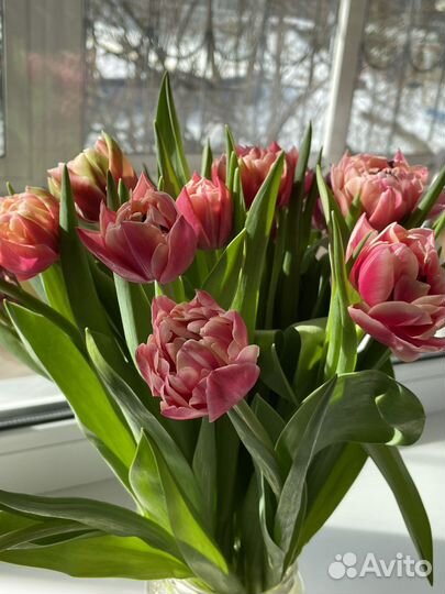 Помощь с выполнением заданий