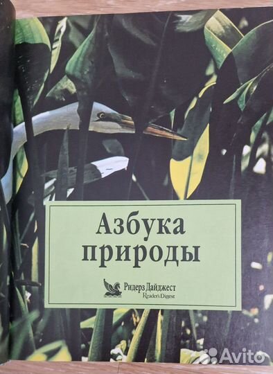Энциклопедия