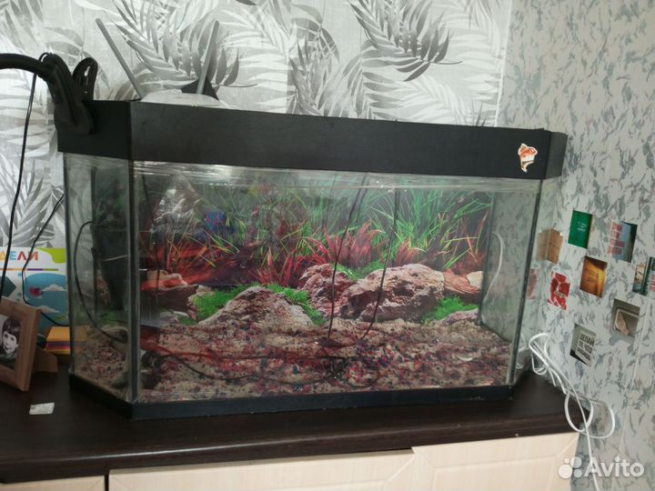 Аквариум