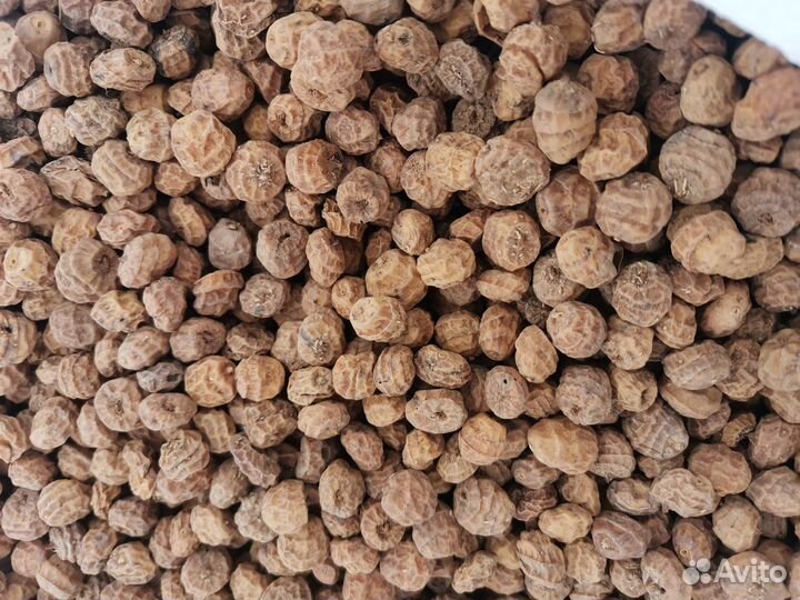 Орех (Чуфа) хl Испания