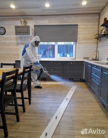 Уничтожение клопов тараканов клещей борщевика