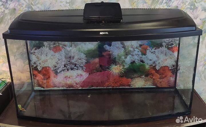 Аквариум 200 литров