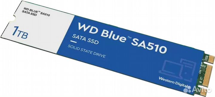 Жёсткий диск HDD Western digital WDS100T3B0B