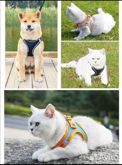 Шлейка для маленькой собаки или кошки