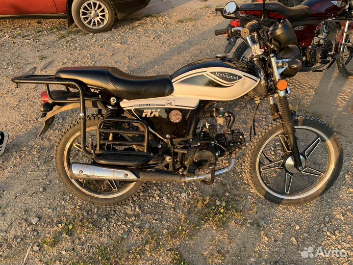 Альфа рх11lux