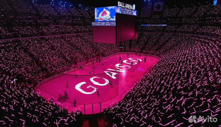 NHL 24 для Вашей PS4/5 Севастополь