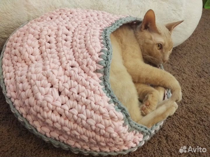 Новый домик для питомца