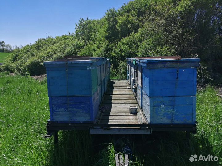 Пчелоприцепы