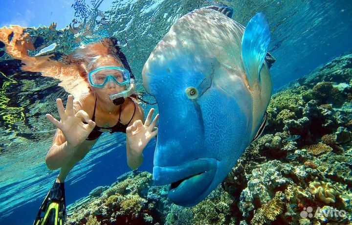 Поездка в Шарм-эш-Шейх 7 нч. всё включено