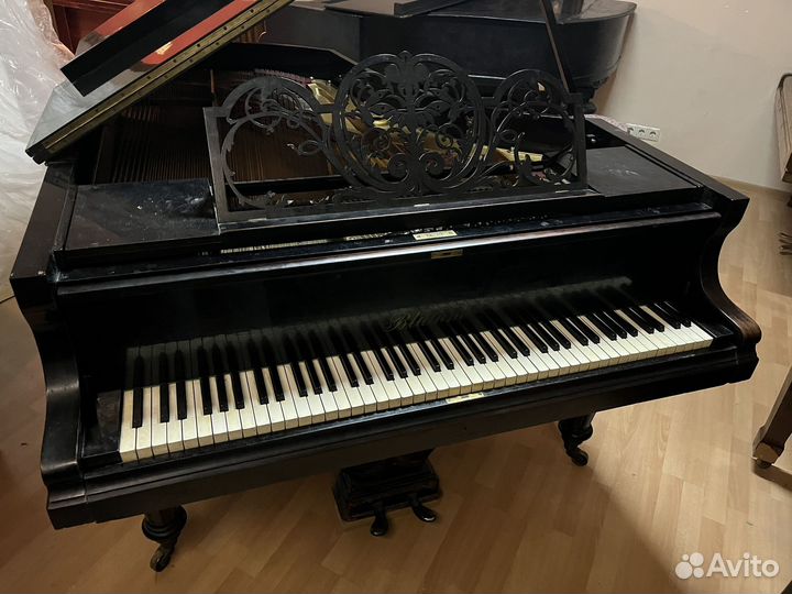 Рояль Bluthner