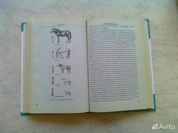 Основы биологии. Школьный курс