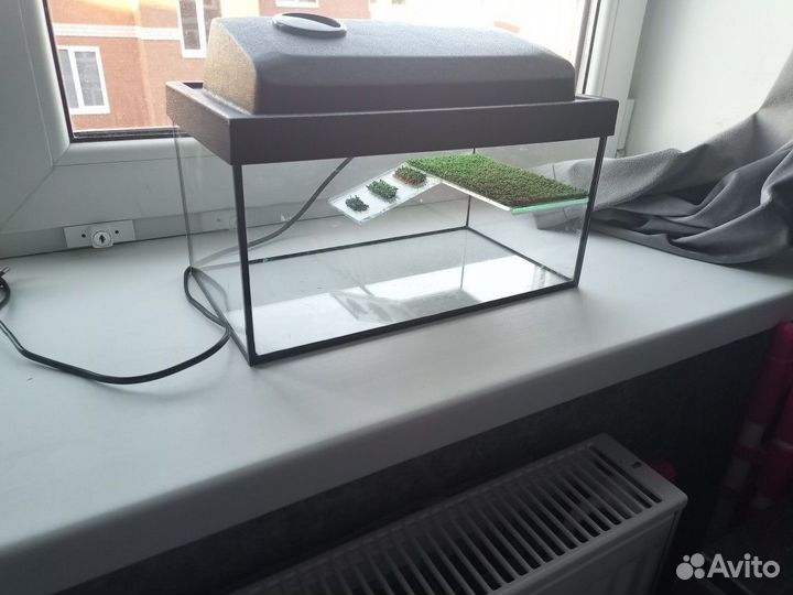 Аквариум для черепах