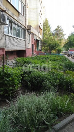 3-к. квартира, 61,2 м², 5/9 эт.