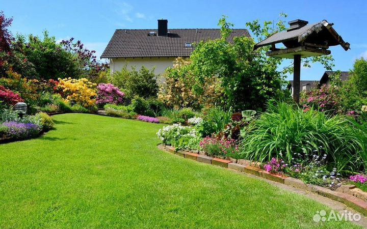 Газон Премиум семена многолетний