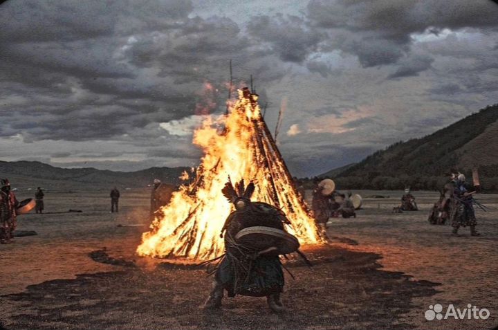 Чай Пуэр Тайная Формула FT25