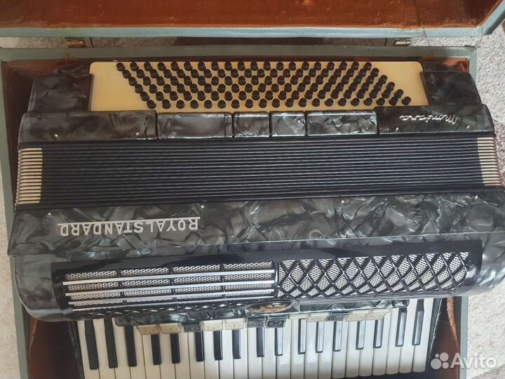 Аккордеон royal standart