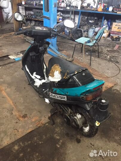 Сузуки сепия