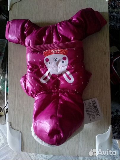 Комбинезон и обувь для собачек