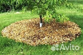 Опилки бесплатно самовывоз