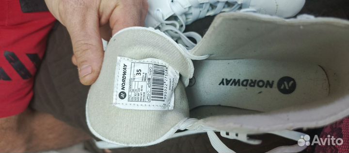 Коньки nordway Nicole