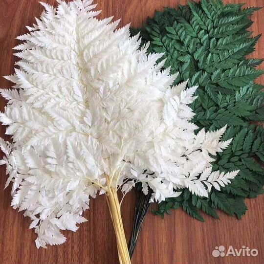 Цветы для творчества. Стабилизированные цветы