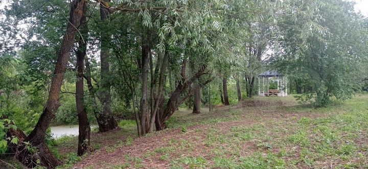 Участок 50 сот. (ИЖС)