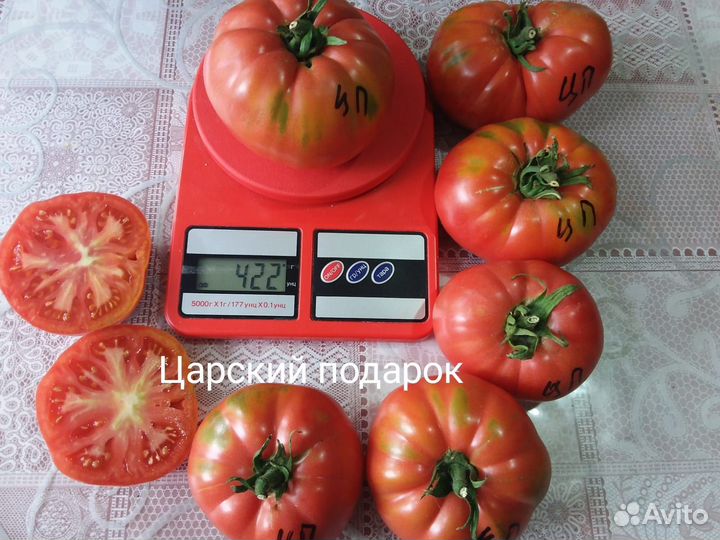 Семена томатов