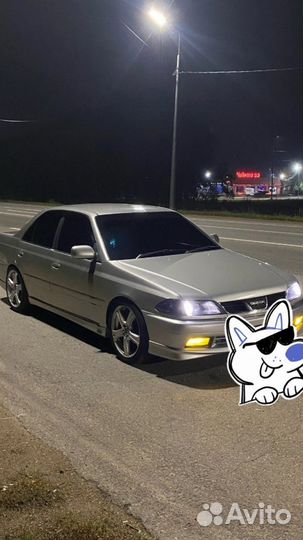 Свой человек на Алтае