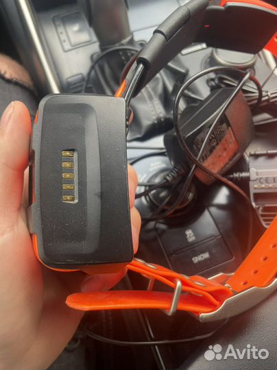 Ошейник garmin t5 RUS новый