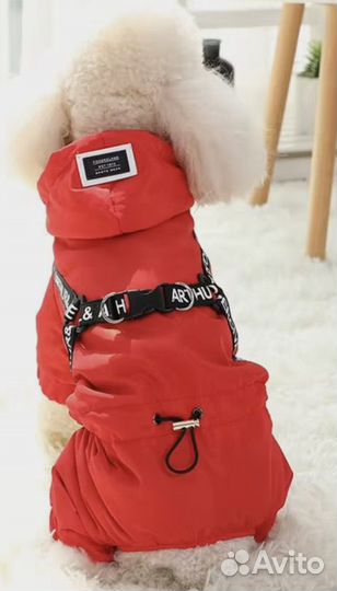 Комбинезон для собаки