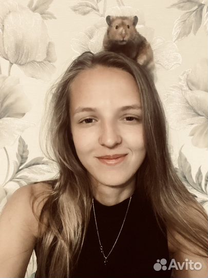 Передержка грызунов,попугаев и др