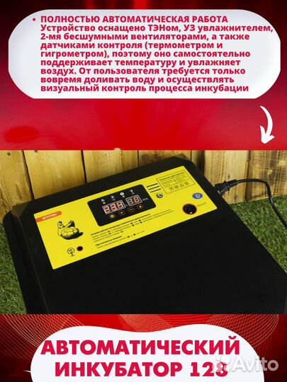 Инкубатор автоматический 