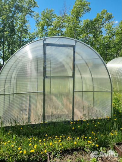 Парники и теплицы бу